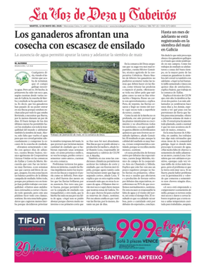 Cover of Deza local
