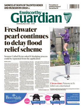 Cover of Enniscorthy Guardian
