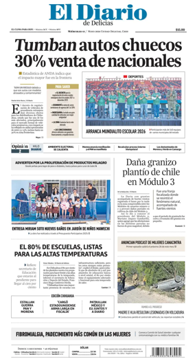 Cover of El Diario de Delicias