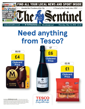 Cover of The Sentinel