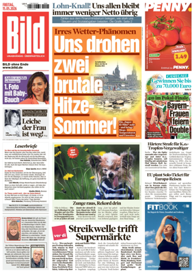 Cover of Bild