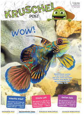 Cover of Kruschelpost