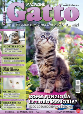 Cover of Gatto Magazine