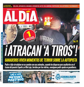Cover of Periodico Al Dia (Celaya)