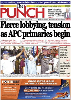 Cover of The Punch