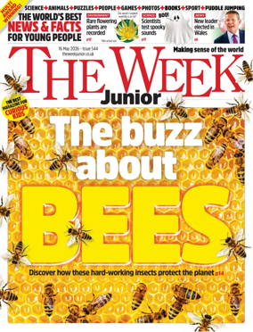 Cover of The Week - Junior