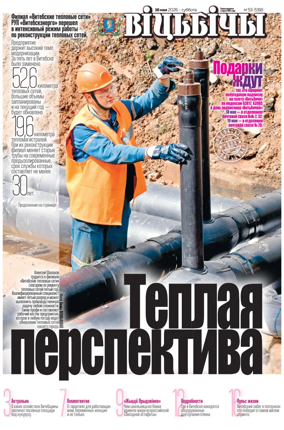 Cover of Vitbichi