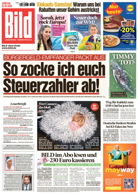 Cover of Bild