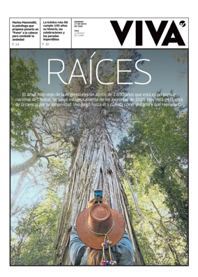 Cover of Viva