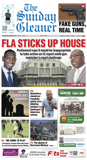 Cover of The Gleaner