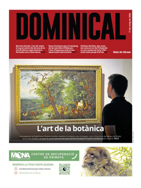 Cover of Dominical