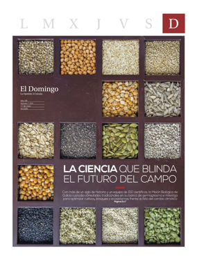 Cover of El Domingo
