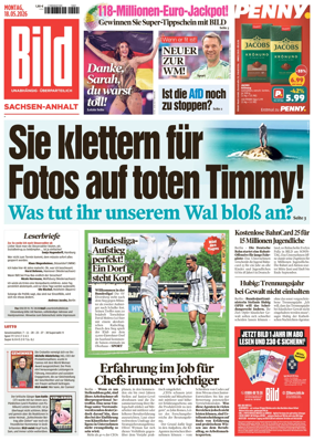 Cover of BILD Sachsen-Anhalt