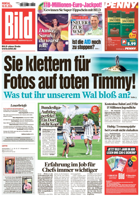 Cover of Bild