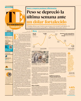 Cover of Termometro Economico