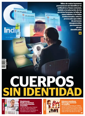 Cover of Reporte Indigo Nacional
