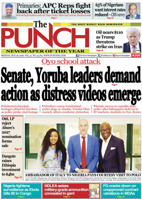 Cover of The Punch