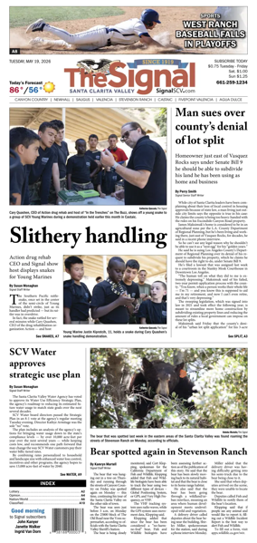 Cover of The Signal