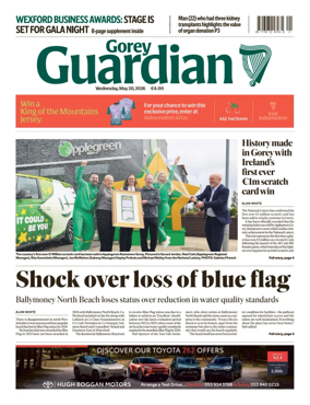 Cover of Gorey Guardian