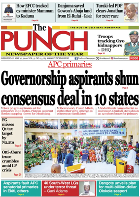 Cover of The Punch