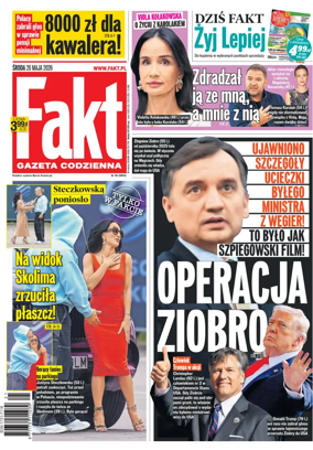 Cover of Fakt
