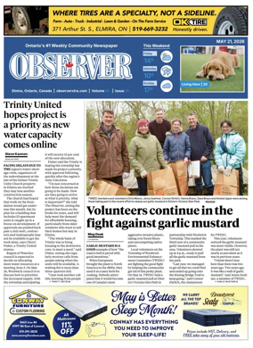 Cover of The Woolwich Observer