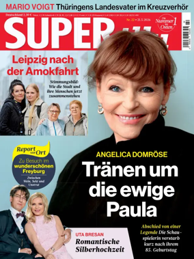 Cover of SuperIllu