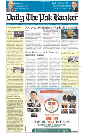 Cover of The Pak Banker