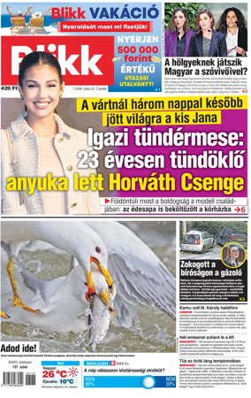 Cover of Blikk