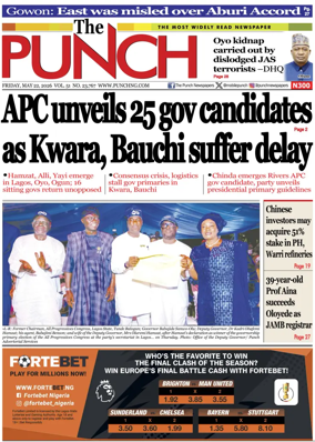 Cover of The Punch