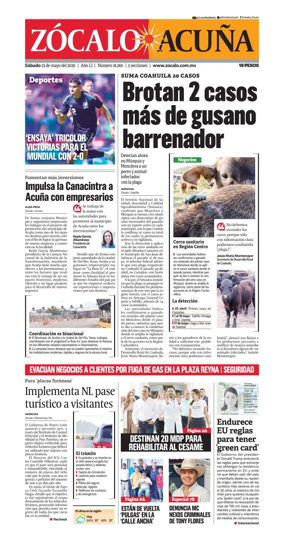 Cover of Zocalo Acuna