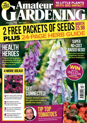 Cover of Amateur Gardening
