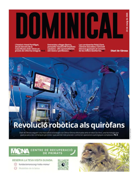 Cover of Dominical