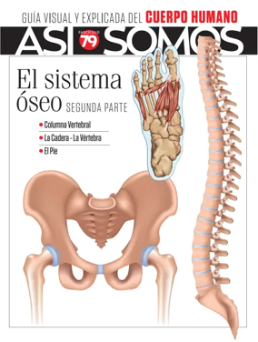 Cover of Asi Somos