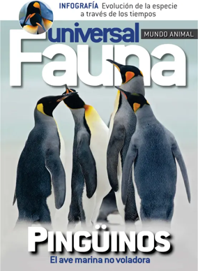 Cover of Fauna universal