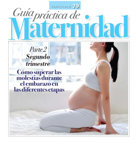 Cover of Guia Practica de Maternidad