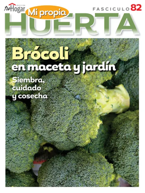 Cover of Huerta en casa