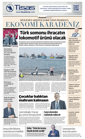 Cover of NBE - Bolge Ekleri