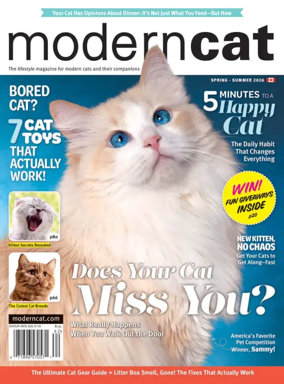 Cover of Modern Cat