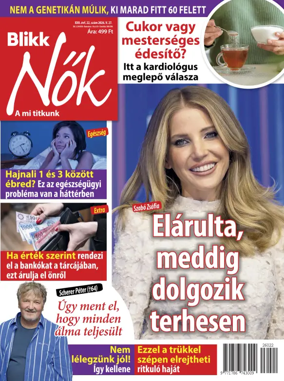Cover of Blikk Nok