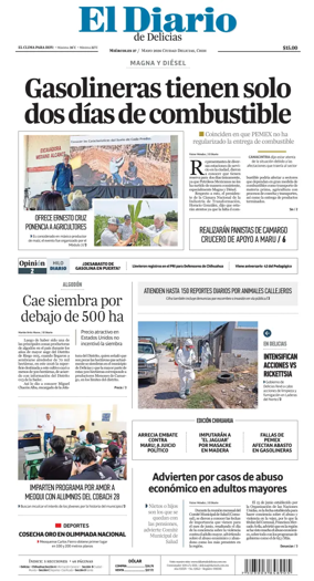 Cover of El Diario de Delicias