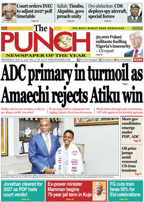 Cover of The Punch