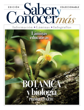 Cover of Saber y Conocer mas