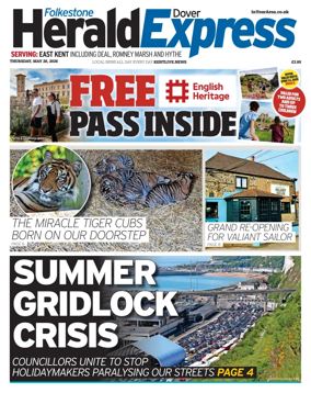 Cover of Dover Express