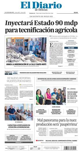 Cover of El Diario de Delicias