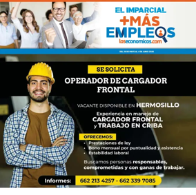 Cover of Mas Empleos