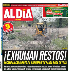 Cover of Periodico Al Dia (Celaya)