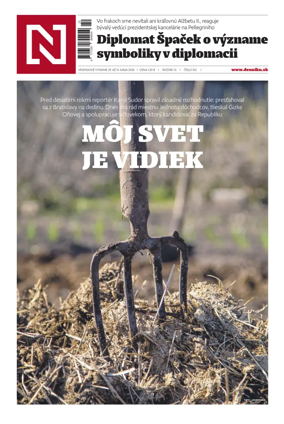 Cover of Dennik N