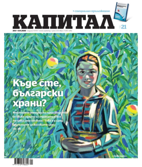 Cover of Capital