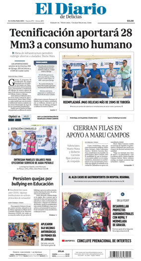 Cover of El Diario de Delicias